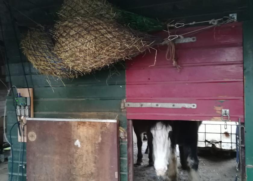 Hooizakken in de paardenvoerautomaat